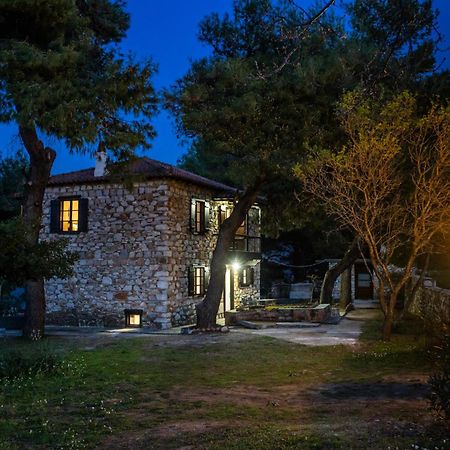 Elli Cottage スコペロス エクステリア 写真