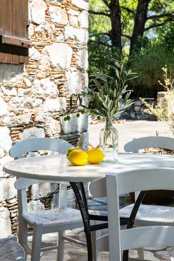 Elli Cottage スコペロス エクステリア 写真
