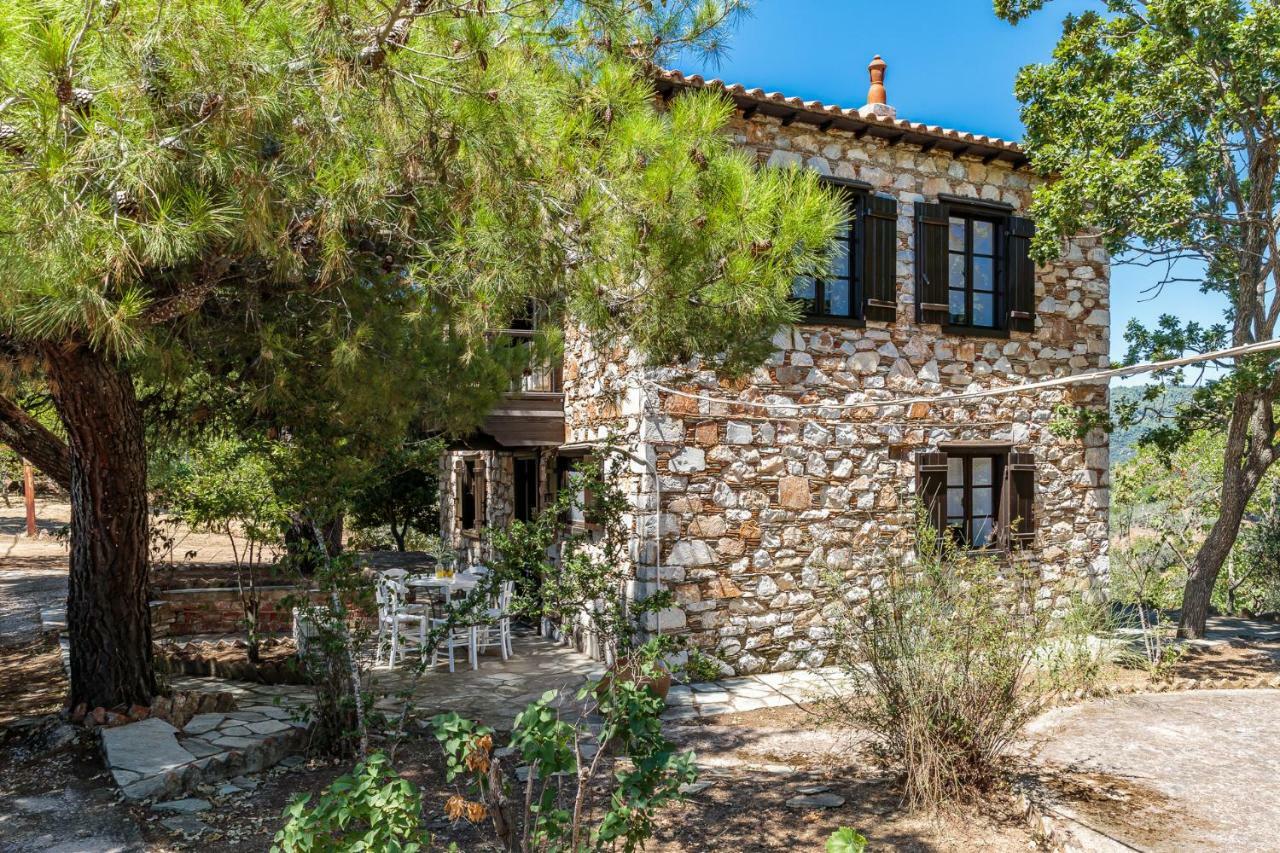 Elli Cottage スコペロス エクステリア 写真